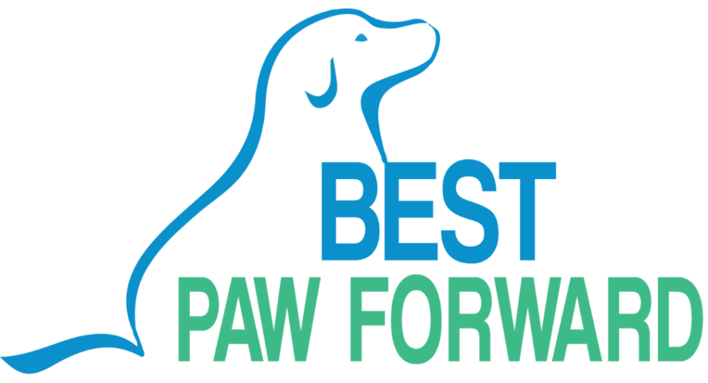best paw forward dog training
