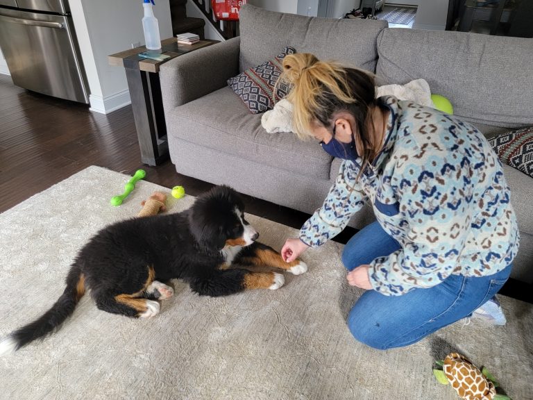 best paw forward dog training lessons