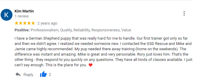 best paw forward board and train review