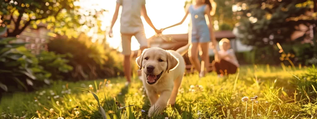 a joyful family engages in a puppy training session in a sunlit backyard, surrounded by vibrant greenery, as the playful puppy showcases its growing skills amidst laughter and affection.
