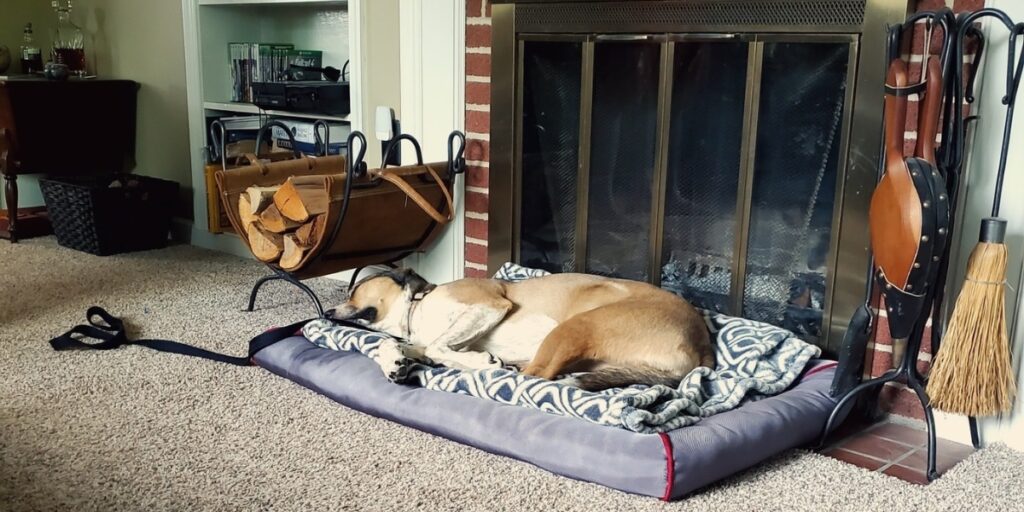 A tan dog sleeps on a dog bed in front of a fireplace.